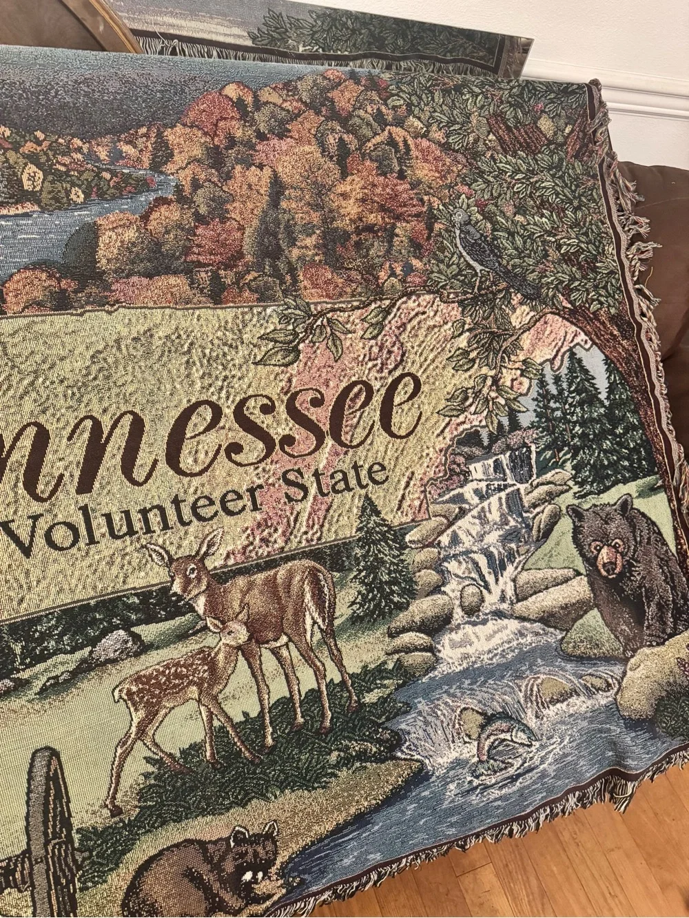 Pure Country Weavers Tennessee Tapestry Throw Blanket Volunteer State Landscape
